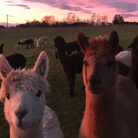 Alpaca Farm- Valley Views- Sleeps 4- Parking- Pets * York