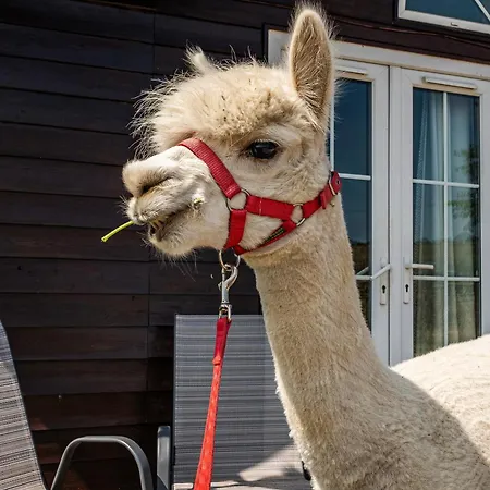 Alpaca Farm- Valley Views- Sleeps 4- Parking- Pets Holiday home York
