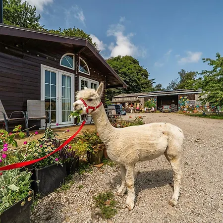 Alpaca Farm- Valley Views- Sleeps 4- Parking- Pets